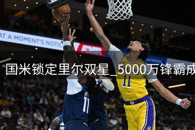 国米锁定里尔双星 5000万锋霸成夏窗头号猎物