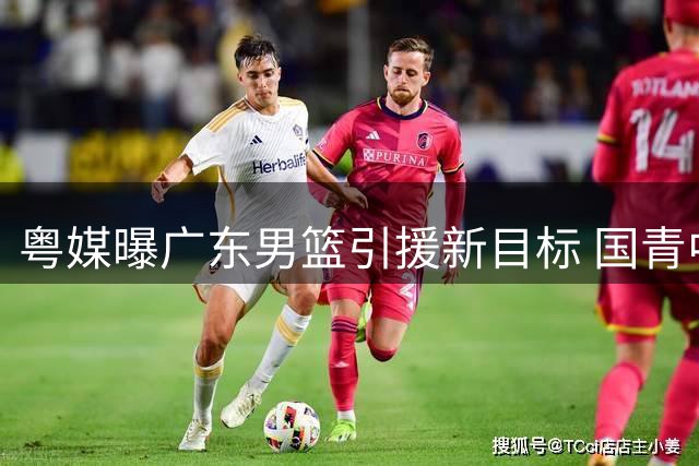 粤媒曝广东男篮引援新目标 国青中锋或驰援内线